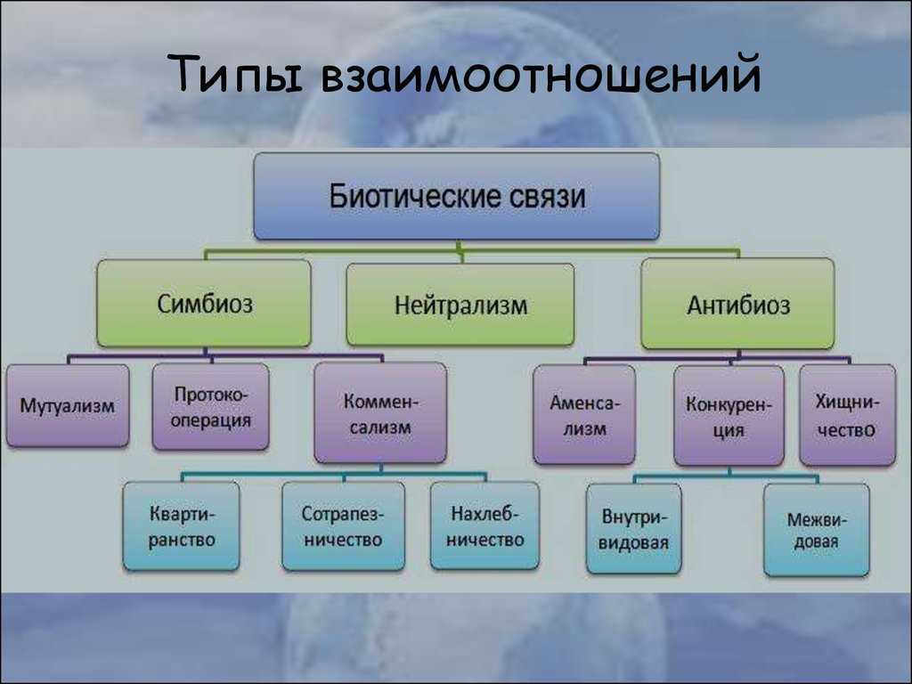 Какая существует связь между наличием - Telegraph