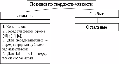 Коллектив параллельный коллегия – В каком слове на месте пропуска пишется согласная буква?